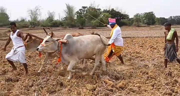 ଅଖିମୁଠି ଅନୁକୂଳ କଲେ ଚାଷୀ