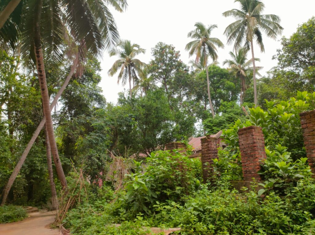 ଜଣେ ବୃଦ୍ଧା, ଗୋଟିଏ ଗାଁ ପାଇଛି ରାଜସ୍ଵ ଗ୍ରାମର ମାନ୍ୟତା ଛତାବର
