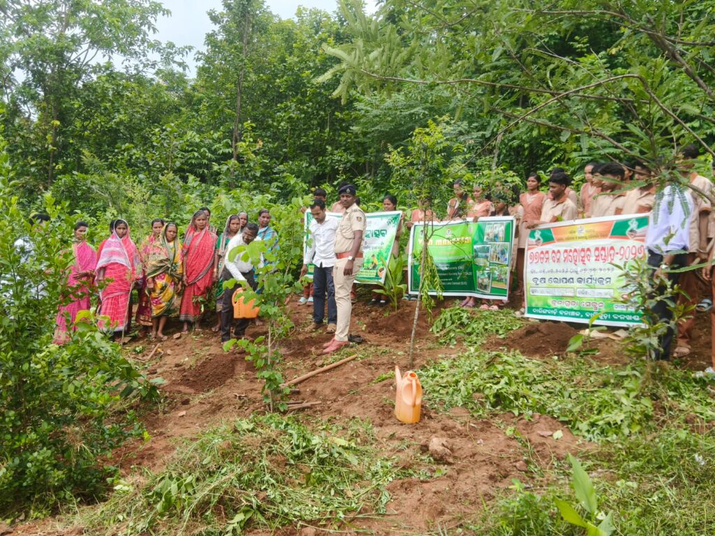 ବୁଡ଼ାଗୁଡା ଉଚ୍ଚ ବିଦ୍ୟାଳୟ ରେ ବନ ମହୋତ୍ସବ ପାଳନ