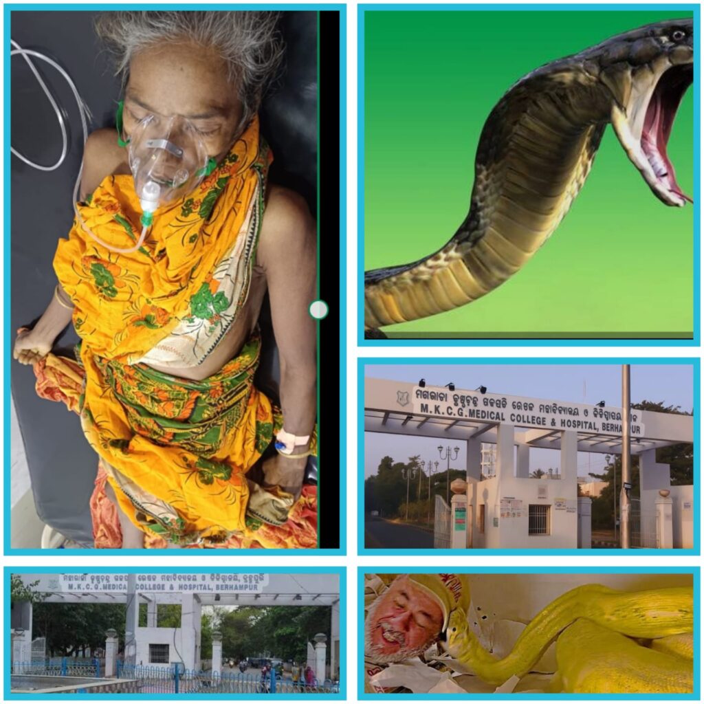 ସାପ କାମୁଡ଼ାରେ ମହିଳା ମୃତ |