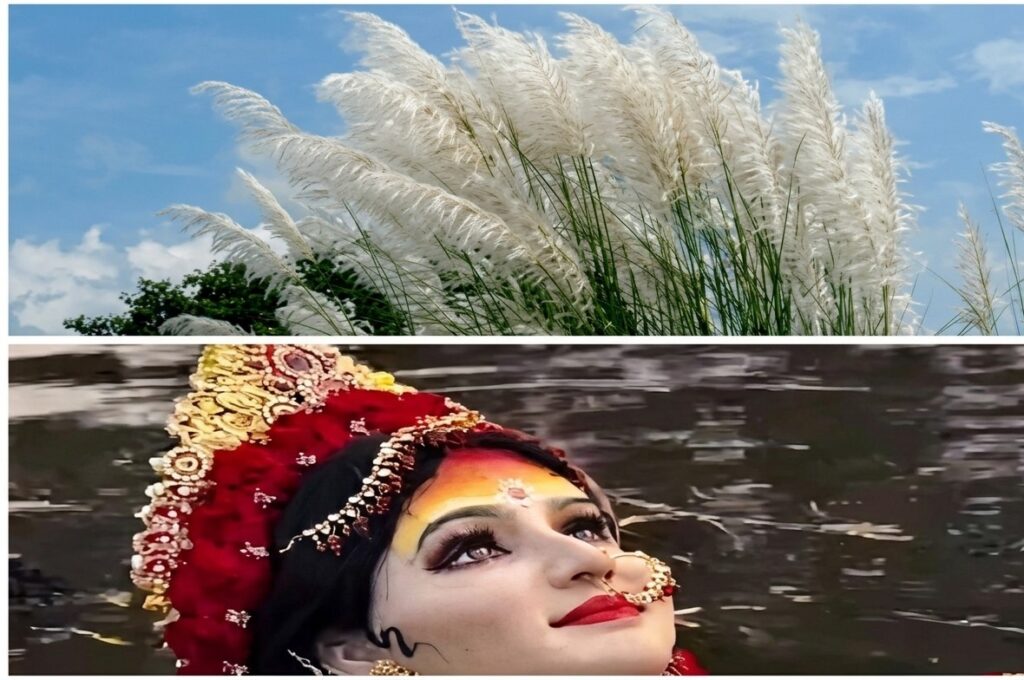 ମା’ ଆସିଥିଲେ ହସ ନେଇ, ଚାଲିଗଲେ ଲୁହ ଦେଇ,ପୁଣି ଆର ବରଷକୁ ଅପେକ୍ଷା।