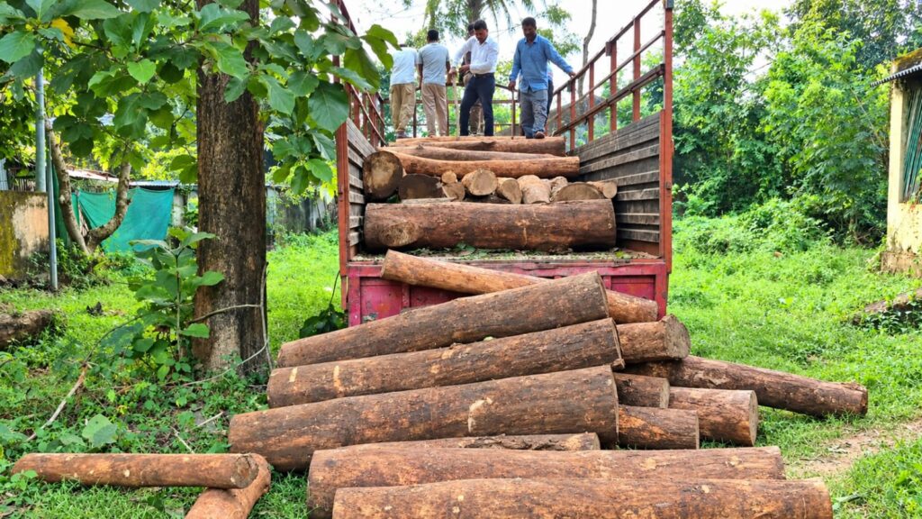 ବନ ବିଭାଗର ମିଳିତ ଚଢ଼ାଉ, ଟ୍ରକ୍ ସହ ମୂଲ୍ୟବାନ କାଠ ଜବତ; ଜଣେ ଅଟକ